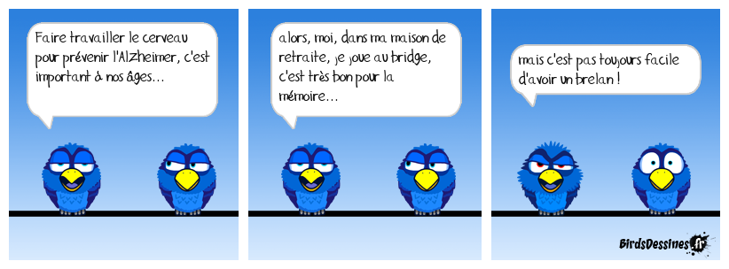 oiseaux