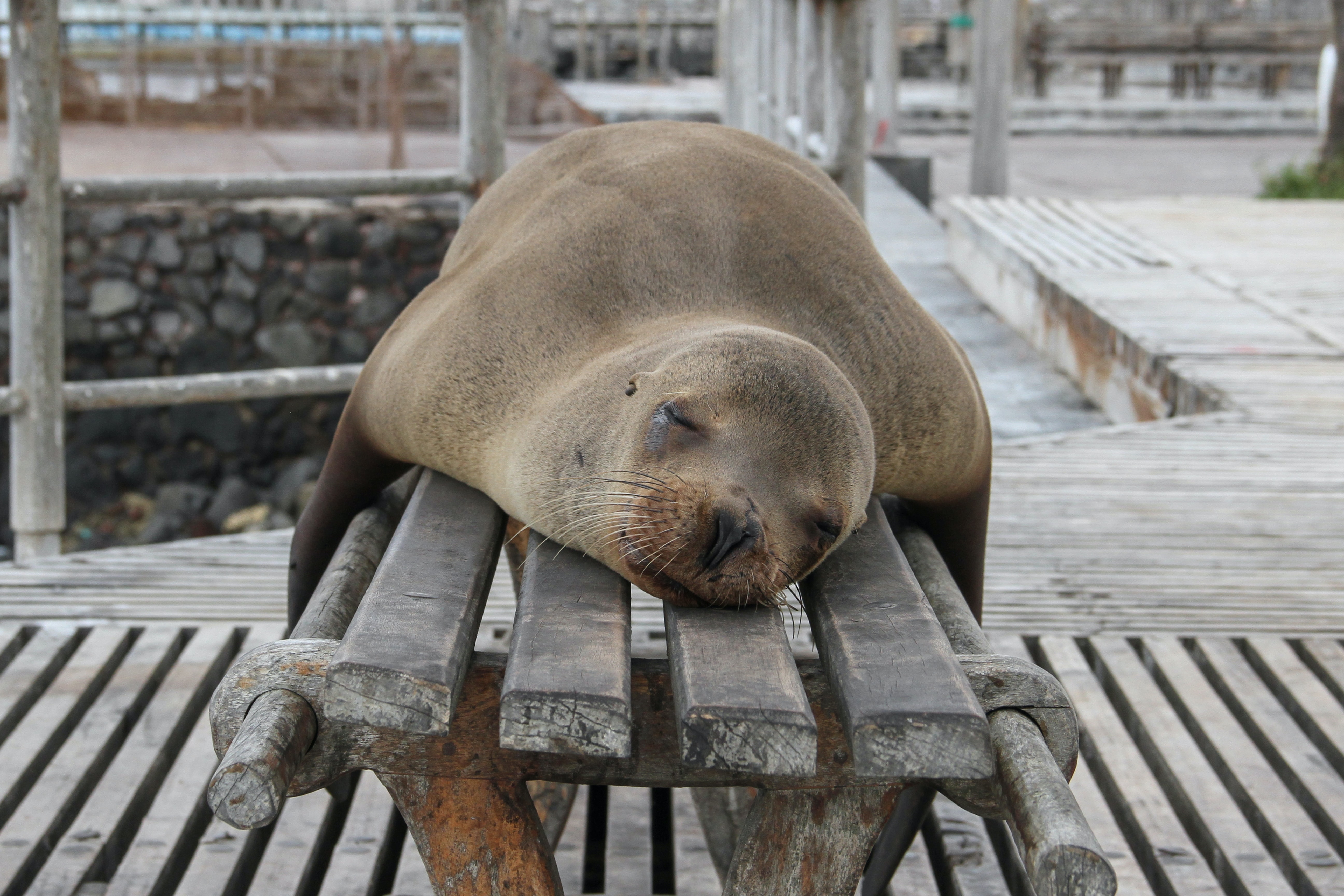 repos
